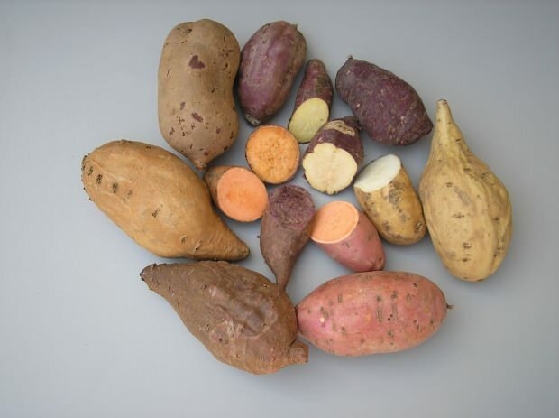 البطاطا الحلوة هي طعام مفيد جدًا لأولئك الذين يرغبون في اتباع نظام غذائي. 