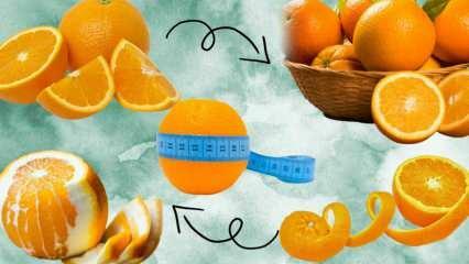 كم عدد السعرات الحرارية الموجودة في البرتقال؟ كم غرام هو 1 برتقالة متوسطة؟ هل تناول البرتقال يزيد وزنك؟