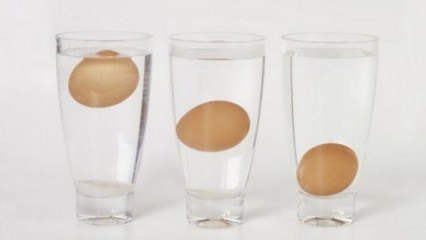 كيفية فهم البيض التالف؟