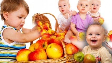 ما الفاكهة التي يجب أن تعطى للأطفال؟ استهلاك الفاكهة ومقدارها خلال فترة الغذاء التكميلي