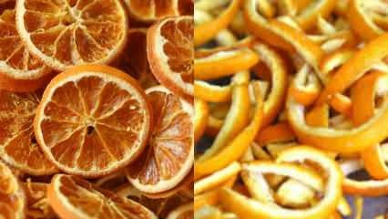 كيف يتم تجفيف البرتقال؟ طرق تجفيف الخضروات والفواكه في المنزل