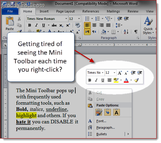 إزالة Mini-Toolbar في Word 2007 و Word 2010