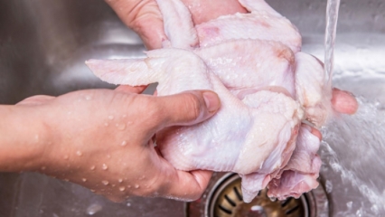 كيف يجب تنظيف الدجاج؟ 