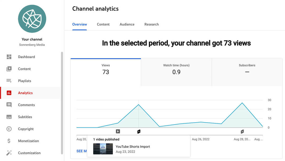 how-to-analysis-youtube-shorts-metrics-in-the-channel-Overview-analytics-tab-sonnenberg-media-example-1