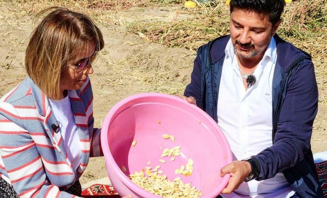 حصد بذور اليقطين للوجبات الخفيفة في نفسهير!