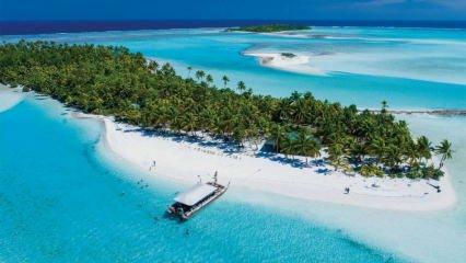 الجمال الخفي لأوقيانوسيا: جزر كوك