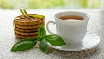 ما هي فوائد الريحان؟ كيف تصنع شاي الريحان؟