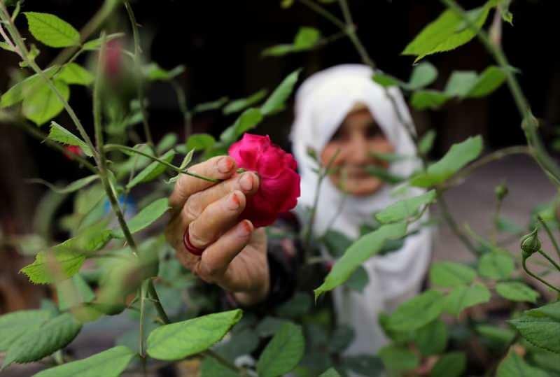 الجدة عائشة ، 83 عامًا ، التي هزمت كوفيد -19 ، تصنع مربى برائحة الورد!