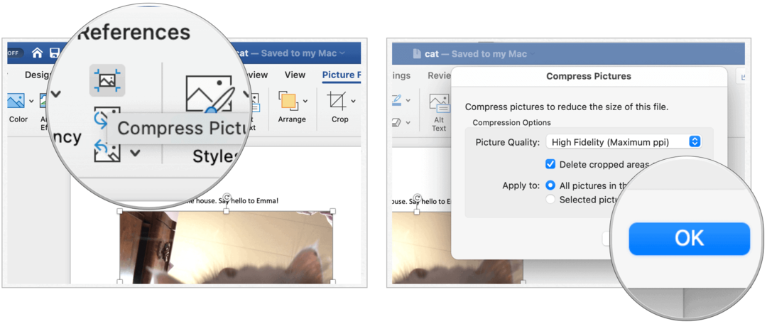 كيفية ضغط الصور في Microsoft Word