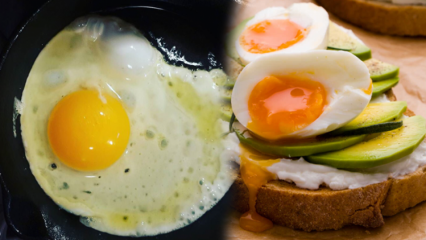 ما هي الزيوت المفيدة لصحتنا؟ إذا كنت تستهلك البيض بشكل غير كافٍ ...
