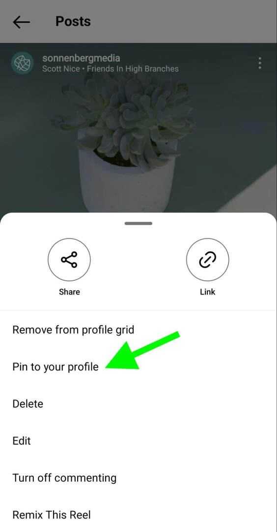 كيف-إلى-instagram-pin-reels-profile-grid-sonnenbergmedia-step-1