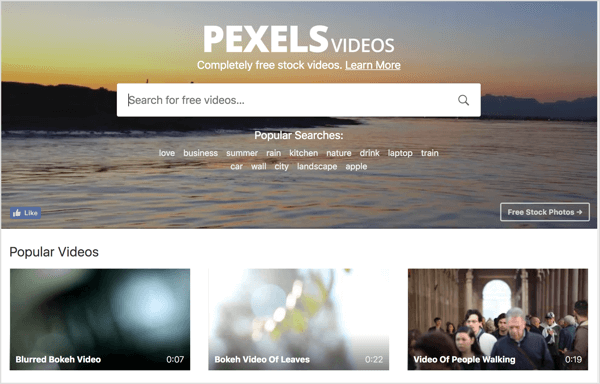 تقدم Pexels مقاطع فيديو مجانية يمكنك استخدامها في إعلانات الفيديو على LinkedIn.