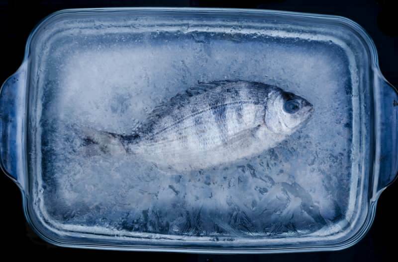 كم يوما يجب أن تستهلك الأسماك في الثلاجة؟