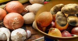 كيف يتم تخزين البطاطس والبصل لفترة طويلة؟ هل يمكن وضع البطاطس والبصل في نفس المكان؟