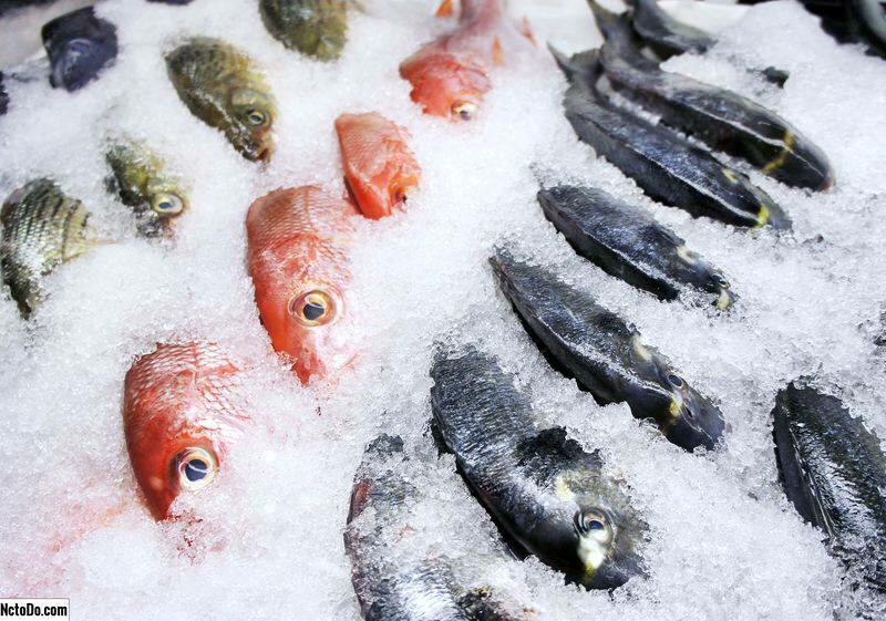 كيف يتم تخزين الأسماك؟ ما هي نصائح حفظ السمك في الفريزر؟