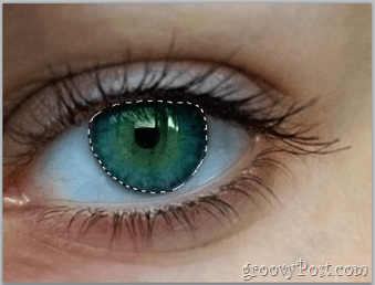 Adobe Photoshop Basics - طبقة العين البشرية تحدد طبقة العين