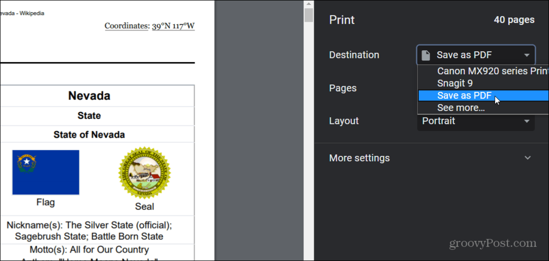 صفحة الويب بتنسيق PDF CHrome