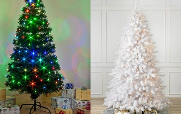 شجرة صنوبر عيد الميلاد