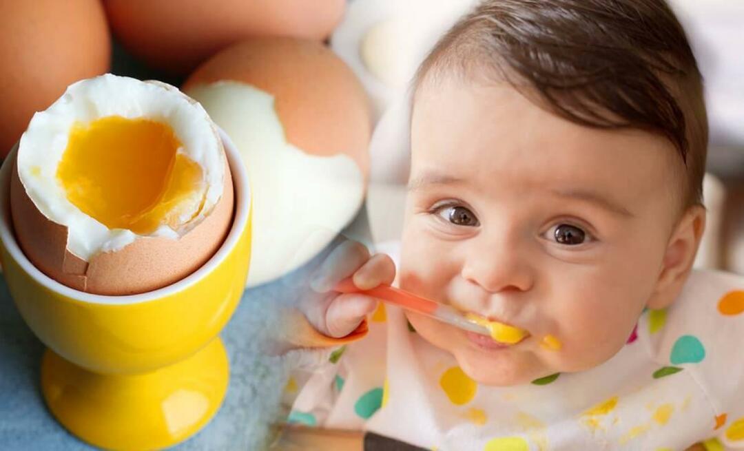 ما هو القوام الذي يعطى للبيض للأطفال؟ كيف تغلي البيض للأطفال؟