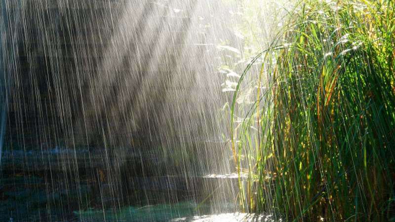 صلوات لتقرأ على مياه الأمطار! هل أمطار أبريل شفاء؟ فوائد أمطار أبريل