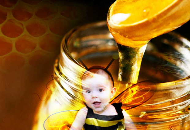 هل يعطى العسل للرضع؟