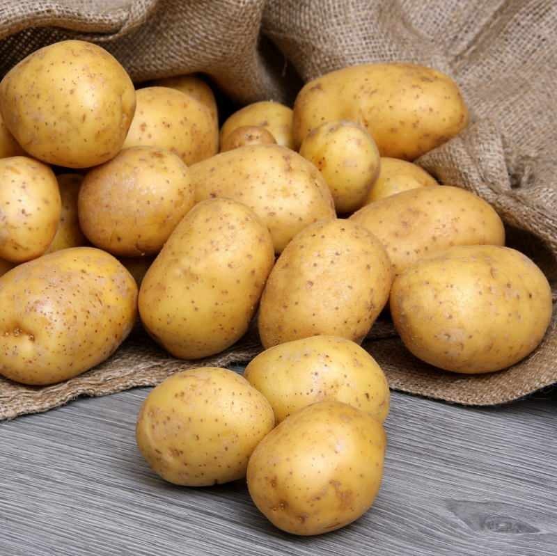 ما هو الفرق بين البطاطس الصالحة للأكل والبطاطس المقلية