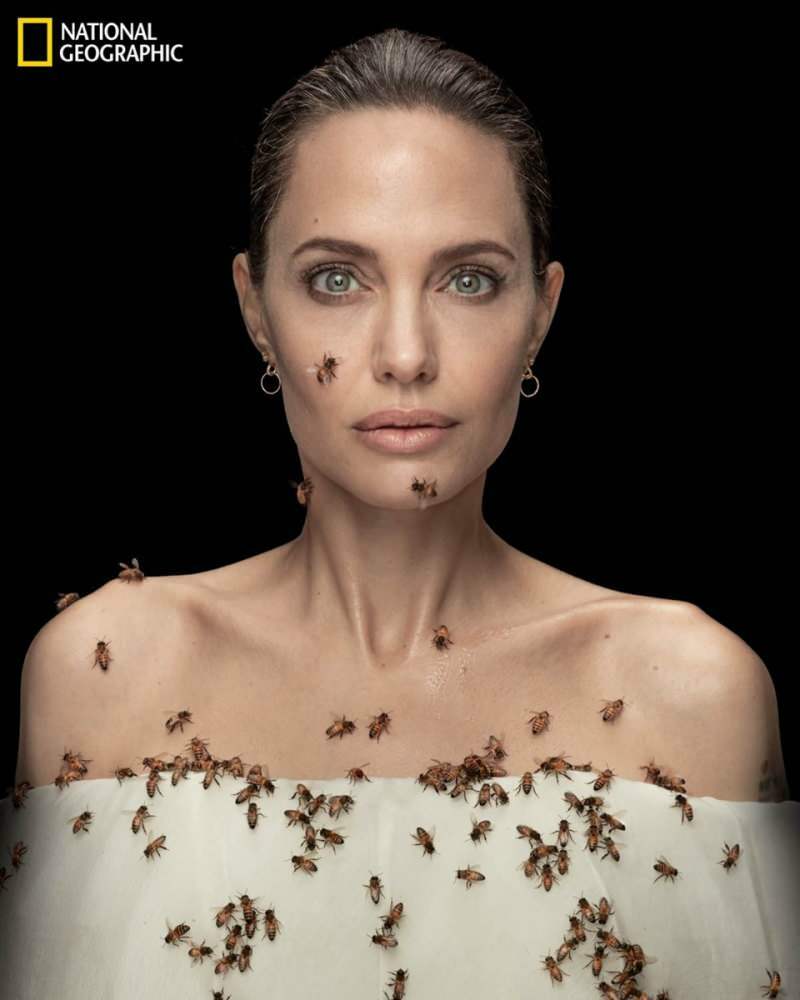 أنجلينا جولي في عدسة مع النحل من أجل النحل!