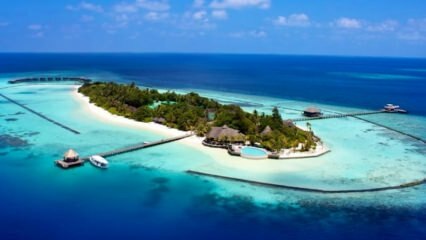 جزيرة كومودو الإندونيسية تحت حماية 100 مليار!