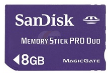 بطاقة ذاكرة Dandisk سعة 8 جيجابايت