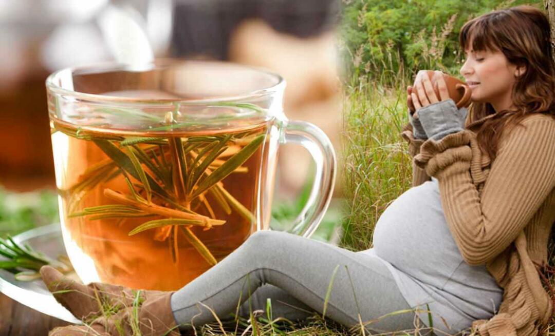 هل يمكن للمرأة الحامل أن تشرب شاي الشتاء؟ أي شاي يجب شربه أثناء الحمل؟ شاي الشتاء للنساء الحوامل