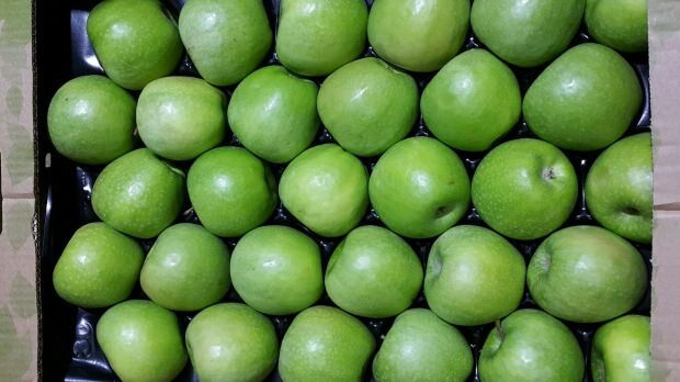 ما فائدة التفاح الأخضر؟
