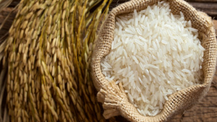 كيف يفهم أفضل الأرز؟ 