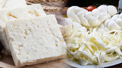 كيف نفهم الجبن الجيد؟ نصائح لاختيار الجبن