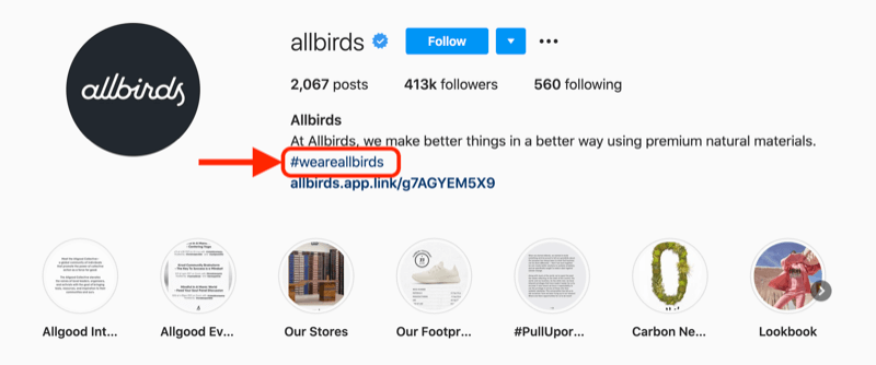مثال على علامة تصنيف شركة مضمنة في وصف الملف الشخصي لحسابallbirds instagram