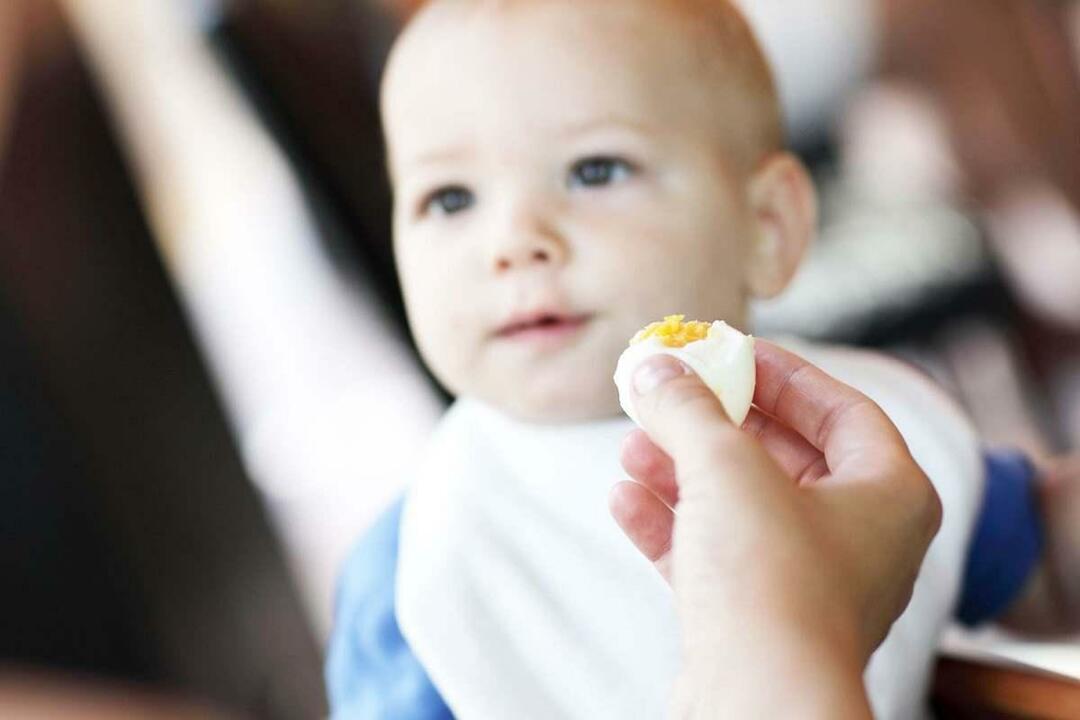 طفل يأكل البيض
