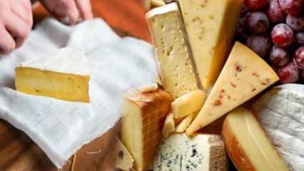 كيف يتم تخزين الجبن؟ كيف يجب وضع الجبن في الثلاجة؟ رائحة الجبن