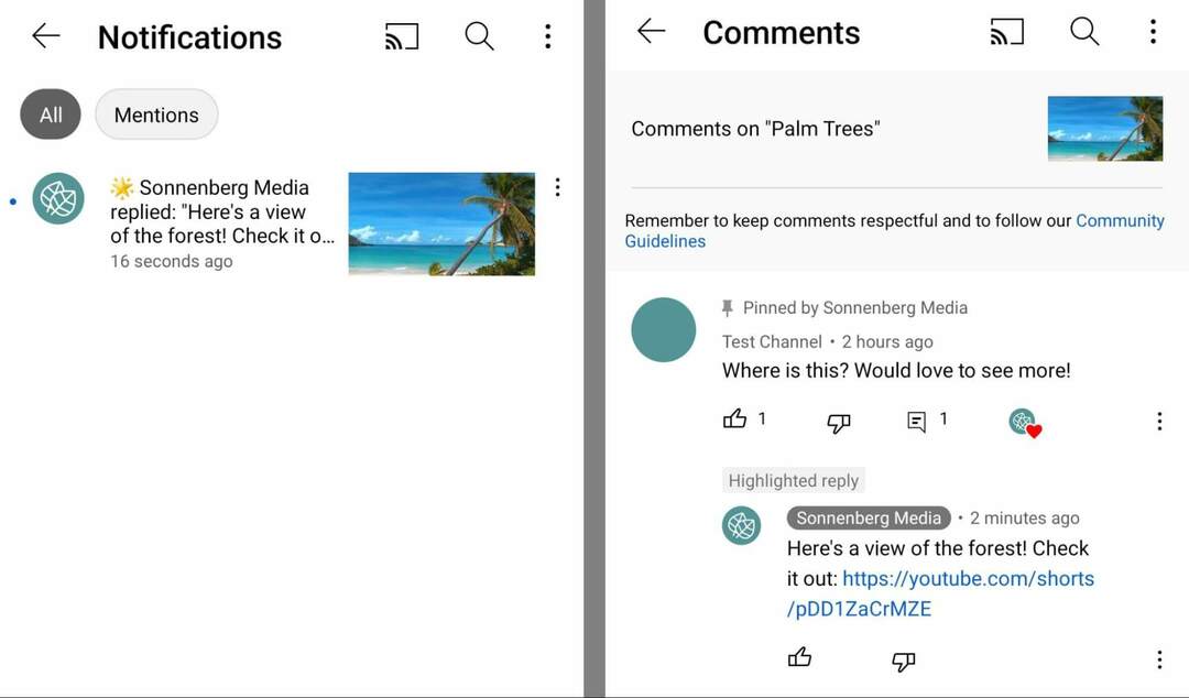 how-use-youtube-shorts-commenting-feature-to-tag-and-signal-commenters-copy-url-for-short-and-share-in-comment-on-original-video-sonnenbergmedia-example-15