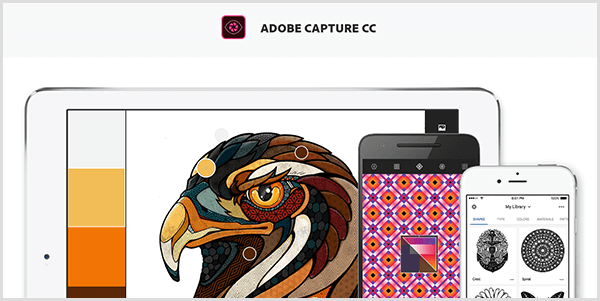 يقوم Adobe Capture بإنشاء لوحة من صورة تلتقطها بجهاز محمول. يُظهر موقع الويب رسمًا توضيحيًا لطائر ولوحة ألوان تم إنشاؤها من الرسم التوضيحي ، والتي تتضمن الرمادي الفاتح والأصفر والبرتقالي والبني المحمر.