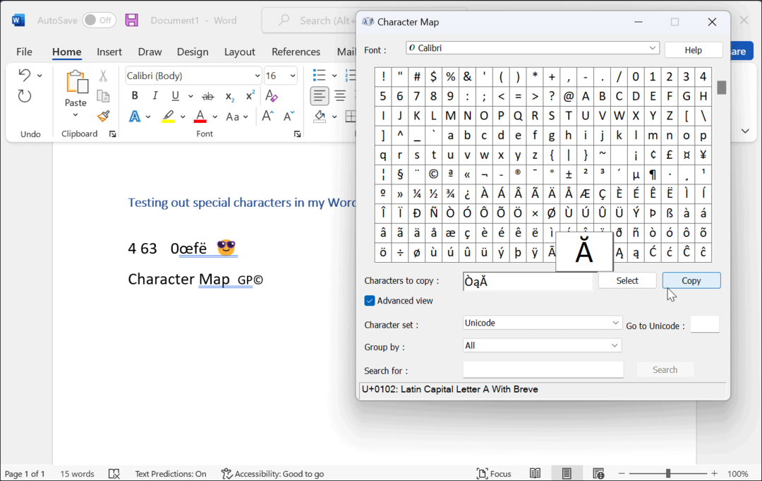 اكتب مخطط الأحرف أحرفًا خاصة في Windows 11