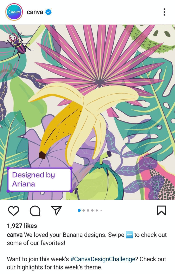 صورة Instagram UGC في الملف التجاري