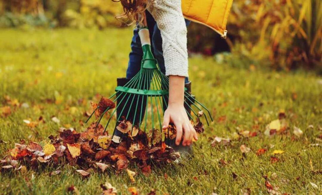 كيفية تنظيف الحديقة في الخريف؟ هل الحديقة معزقة في الخريف؟ تنظيف الحديقة