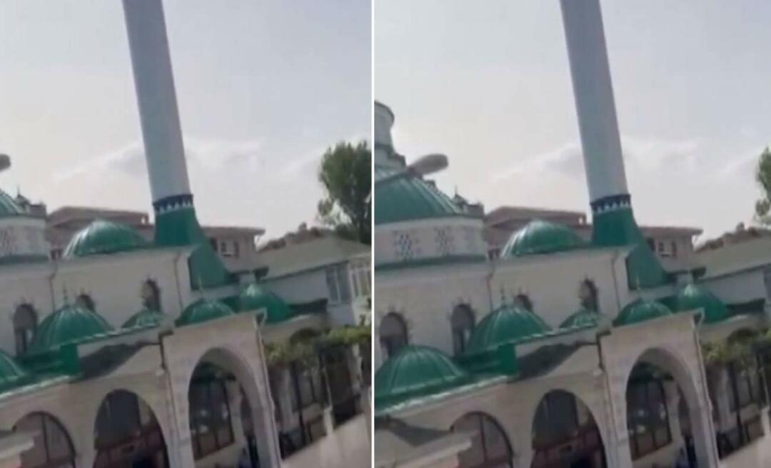 إنتشر إعلان "القط حزين" من المسجد على نطاق واسع! تلك اللحظات التي تجعل الجميع يبتسمون...