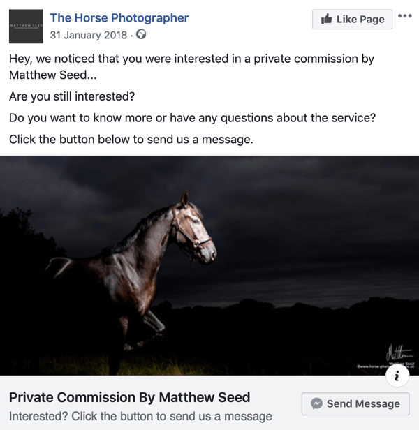 كيفية تحويل زوار موقع الويب بإعلانات Facebook Messenger ، الخطوة 3 ، نشر مثال بواسطة The Horse Photographer