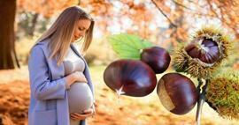 هل يمكن للنساء الحوامل تناول الكستناء؟ فوائد تناول الكستناء أثناء الحمل للطفل والأم