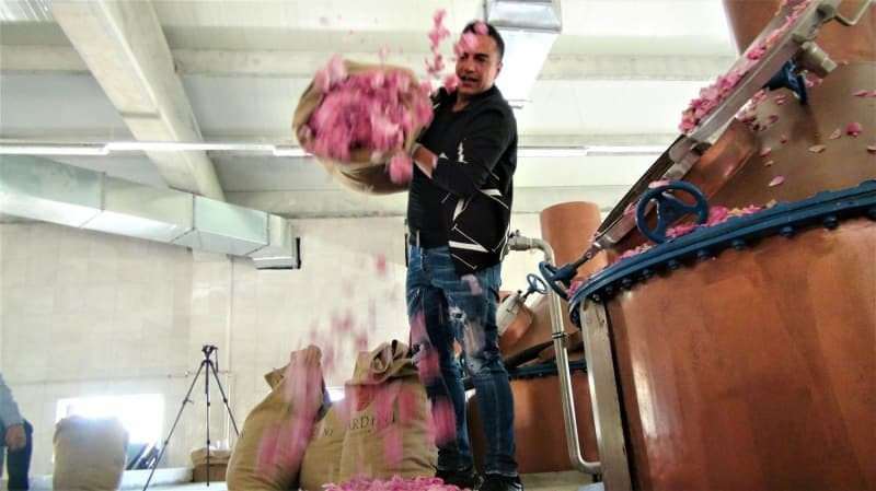 بردان مارديني أسس مصنع زيت الورد في مسقط رأسه!