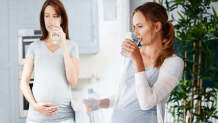 فوائد شرب الماء للحامل! ما هي كمية الماء التي يجب تناولها يوميًا أثناء الحمل؟ 