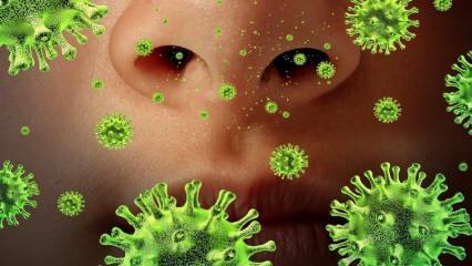 إعادة الظهور: ما هو فيروس سارس وما أعراضه؟ كيف ينتقل فيروس سارس؟