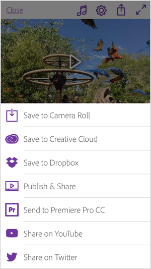 شارك فيديو Adobe Premiere Clip الخاص بك مباشرة على YouTube و Twitter ، أو احفظه في المعرض أو Creative Cloud