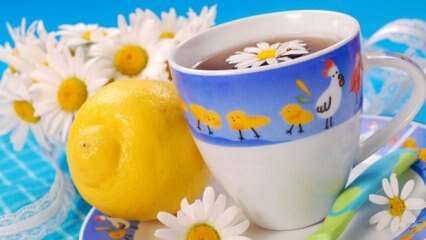 توصية شاي أعشاب من Saraçoğlu أثناء الحمل! هل شرب شاي الأعشاب ضار للحامل؟