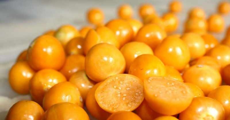 الفراولة الذهبية غنية بمضادات الأكسدة